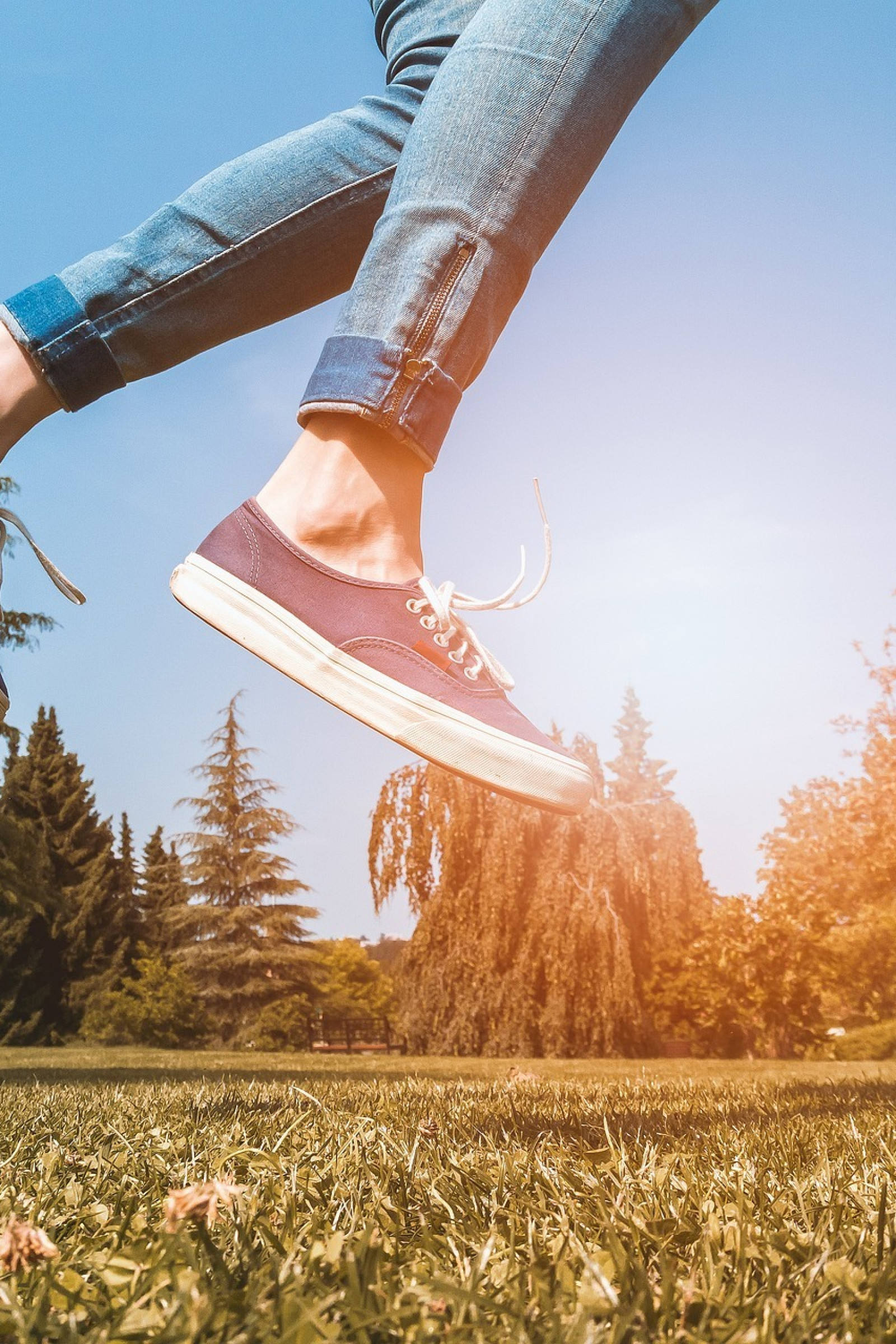 Книга обретение крыльев. Обретенные читать. Миры содружества. Обретенные читать. Обретенные читать.