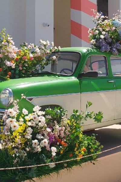 Куда пойти в выходные?