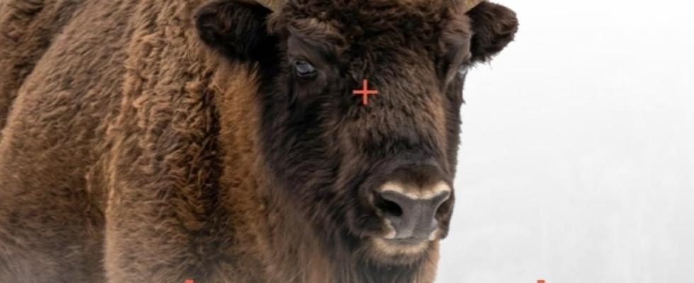В объективе Окский заповедник