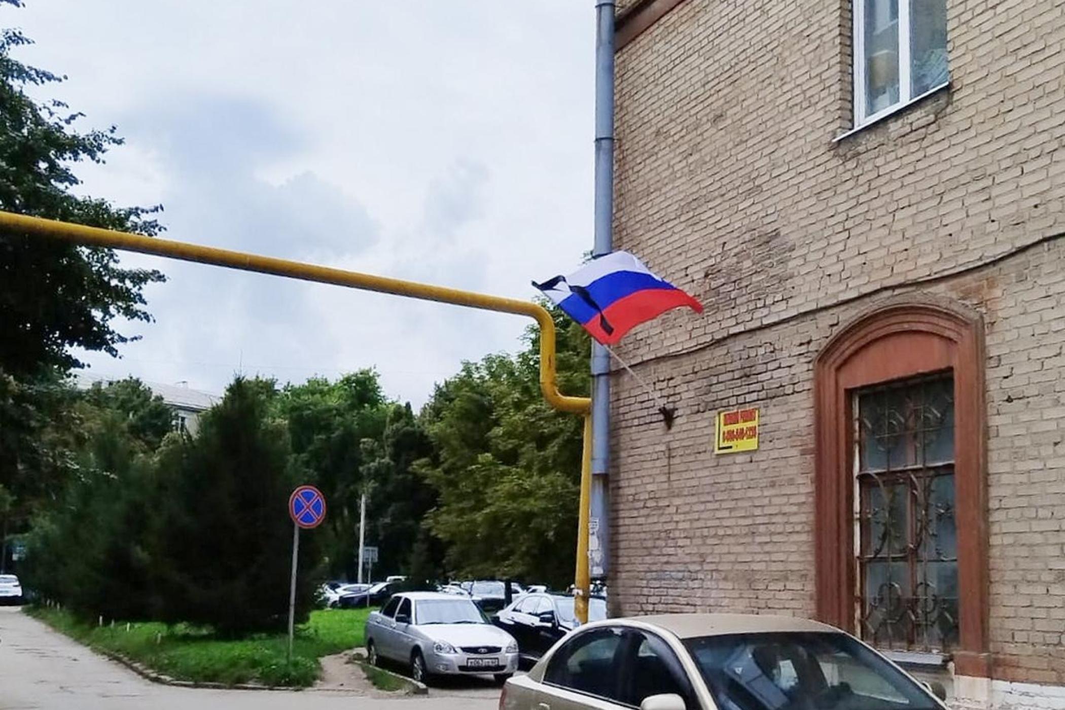 Жабайылардың порно тұтқындары