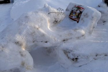 В Спасске появилась снежная скульптура медведя