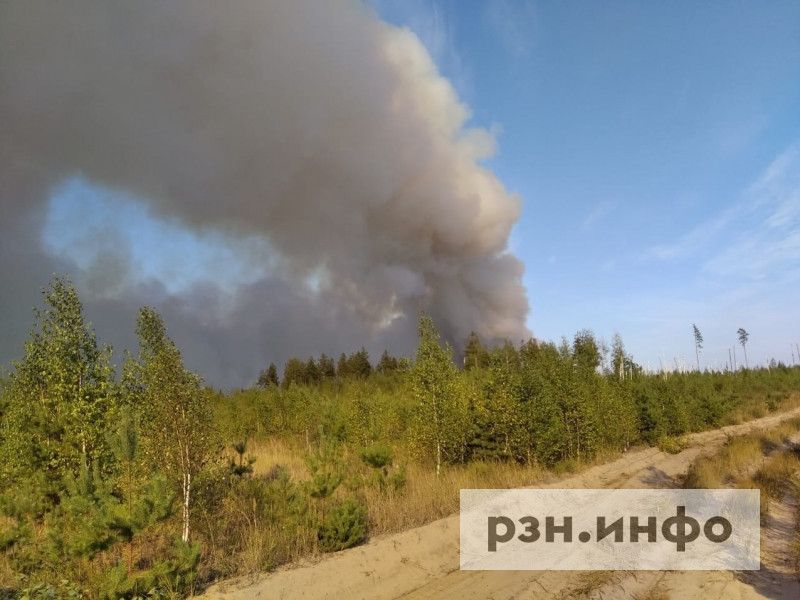 Названа причина лесных пожаров в Рязанской области Названа причина лесных пожаров в Рязанской области