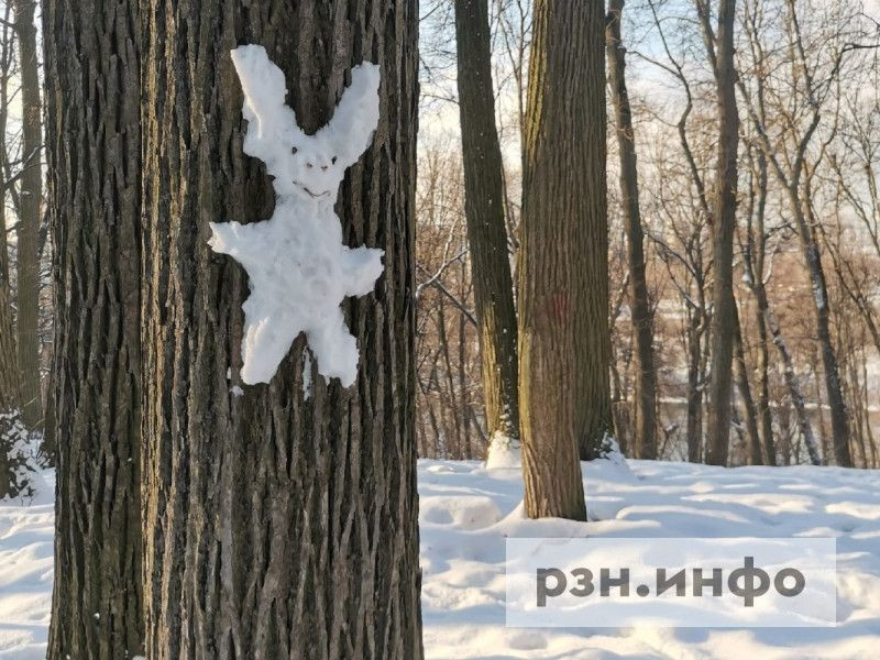 В Рязанской области 12 февраля прогнозируют метель В Рязанской области 12 февраля прогнозируют метель