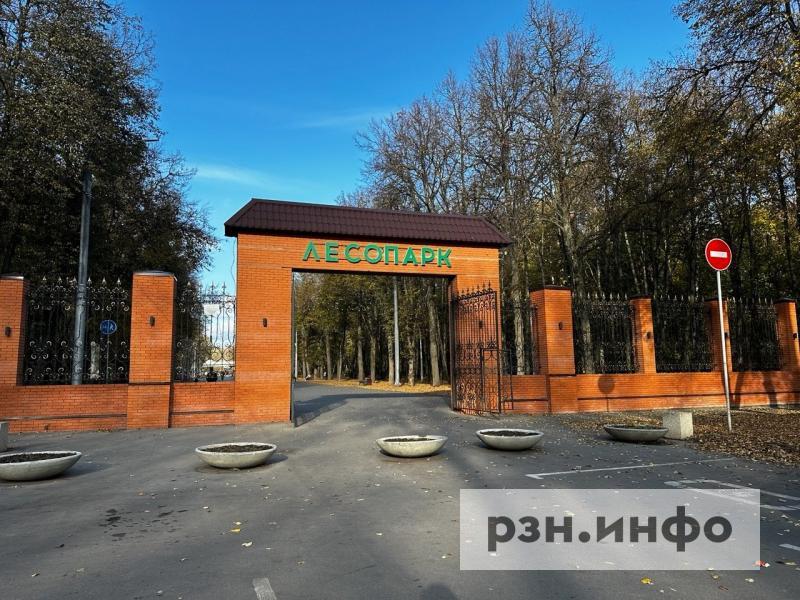 В рязанском Лесопарке появится площадка для городошного спорта