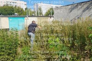 В Канищеве заметили прячущегося в кустах онаниста