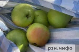 В рязанском музее-усадьбе Павлова провели «Праздник яблока»