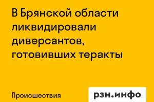 В Брянской области ликвидировали диверсантов, готовивших теракты