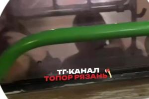 В Рязани засняли детей-зацеперов