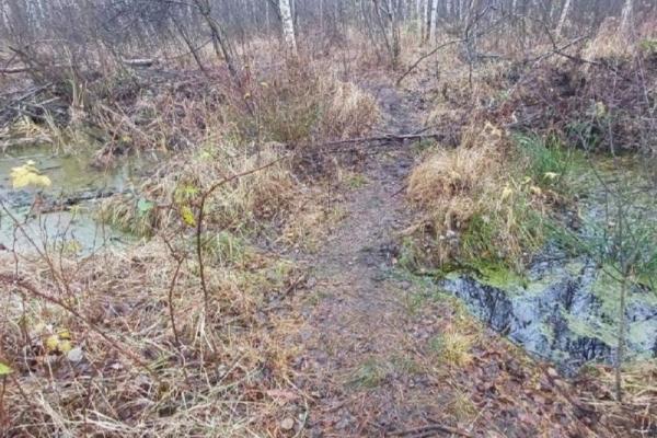 В Рязанской области обнаружили тело пропавшего мужчины в болоте