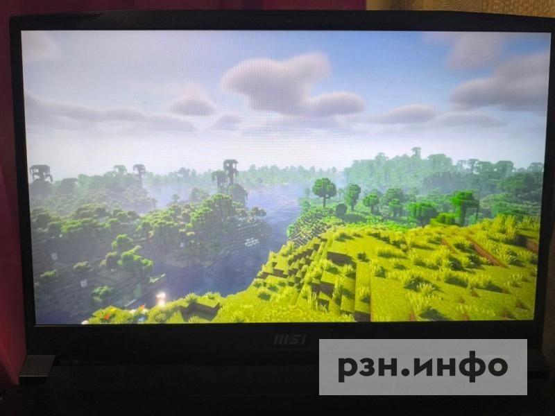 Роскомнадзор опроверг слухи о блокировке игры Minecraft