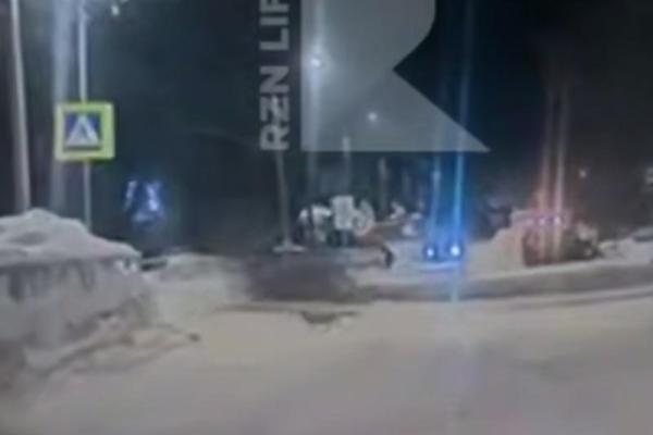 Рязанец заметил пробегающую через дорогу лису