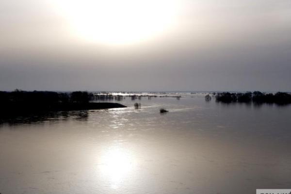 В черте Рязани Ока поднялась еще на 16 см
