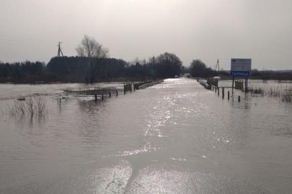 В Рязанской области под воду ушел еще один мост