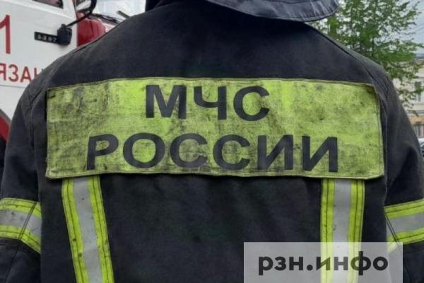 В Рязанской области за год число палов травы сократилось более чем в 10 раз