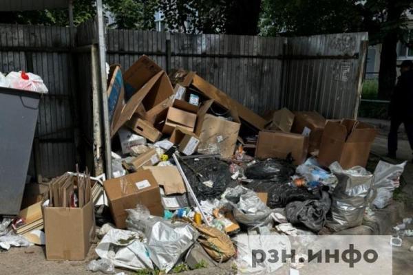 Рязанцы пожаловались на невывоз мусора в Канищеве