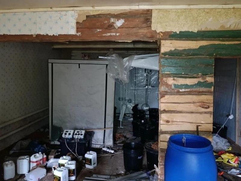 В Рязанской области нашли производство марихуаны, изъято почти 1,5 кг наркотиков