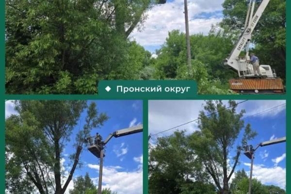 В Новомичуринске и Пронске опилили аварийные деревья