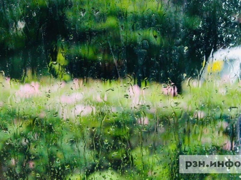 Опубликован прогноз погоды на 9 августа в Рязанской области