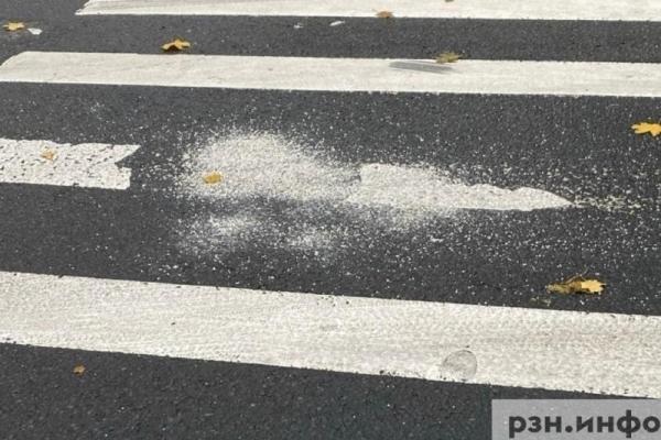 Более 10 нарушивших ПДД пешеходов поймали в Рязанской области