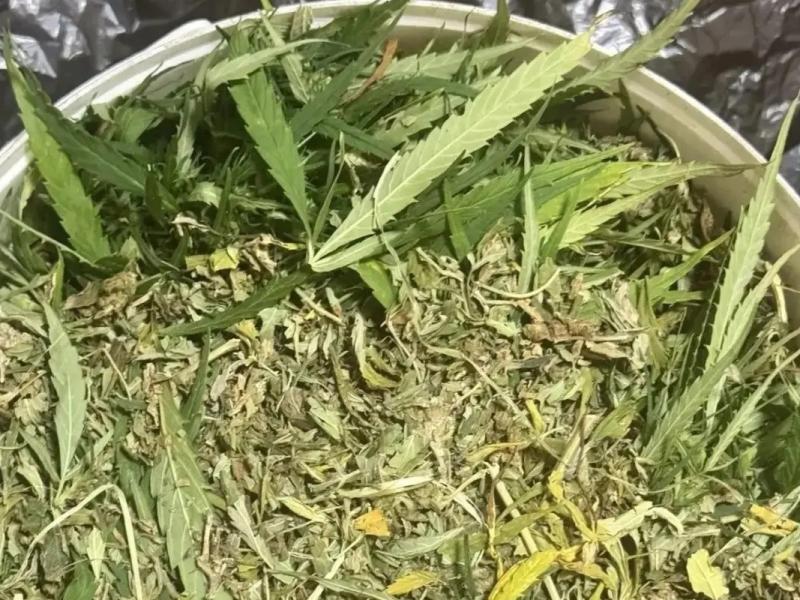 Полицейские нашли около килограмма марихуаны в частном доме рязанца