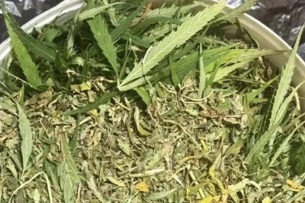 Полицейские нашли около килограмма марихуаны в частном доме рязанца