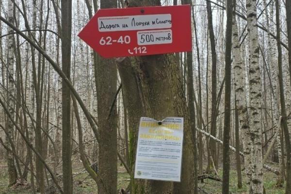 Рязанские волонтеры помогли заблудившимся грибникам выйти из леса