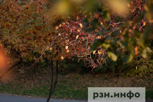 Опубликован прогноз погоды на 21 сентября в Рязанской области
