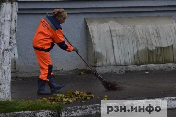 Рязанцев пригласили на очередной общегородской субботник
