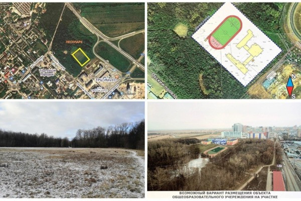 Почему нельзя в Лесопарке и где можно — активисты о строительстве школы в Рязани