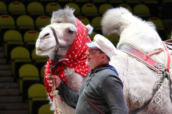 Зажигает огни. Рязанский цирк вновь открыл двери после годового перерыва