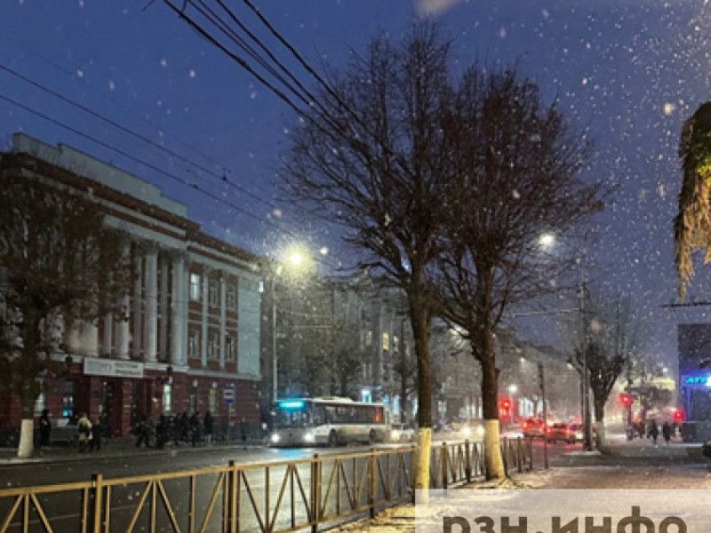 Эксперты рассказали, к чему приведет теплая зима без снега в Рязанской области